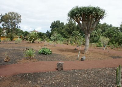 Jardín en Hotel de Puerto de la Cruz