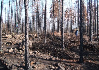 Restauracón del incendio de 2007